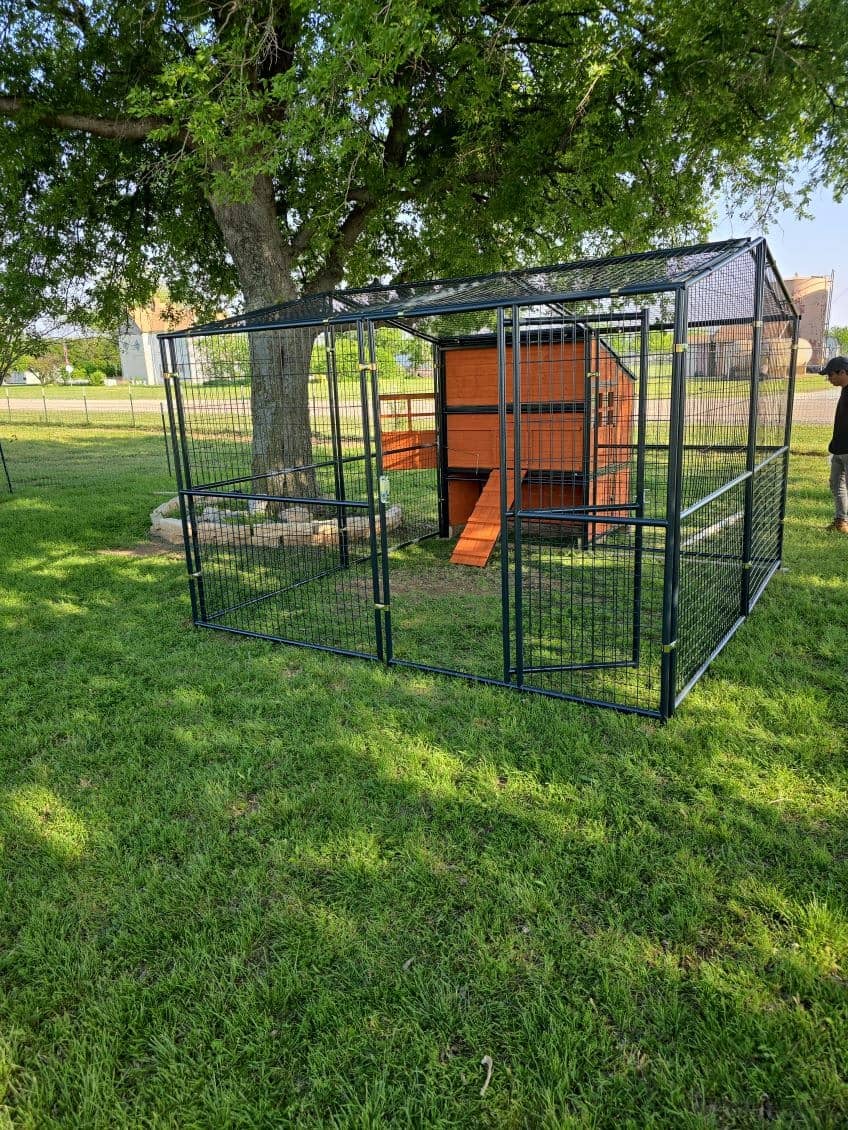 Walk-in chicken coop with enclosed run and nesting box assembled on a green lawn